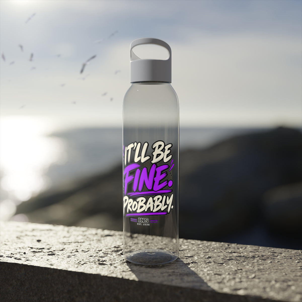 INS It’ll Be Fine Probably Tritan Water Bottle | Clear 650ml Bottle